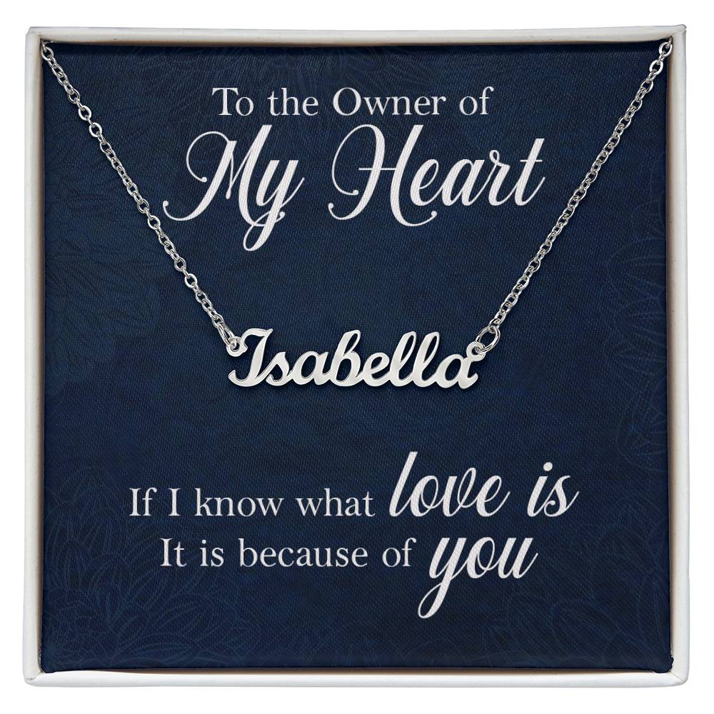 Customized Signature Name Necklace-Owner of my Heart