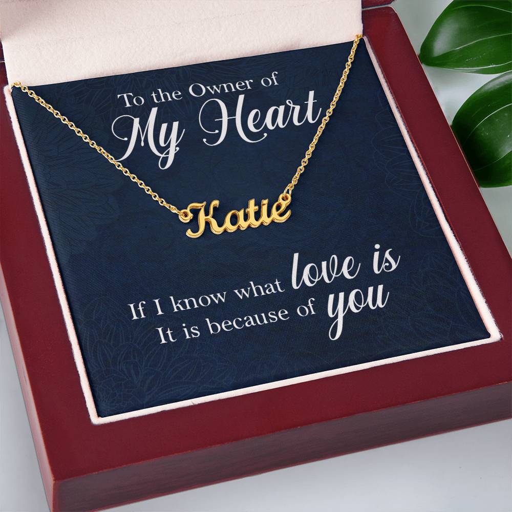 Customized Signature Name Necklace-Owner of my Heart